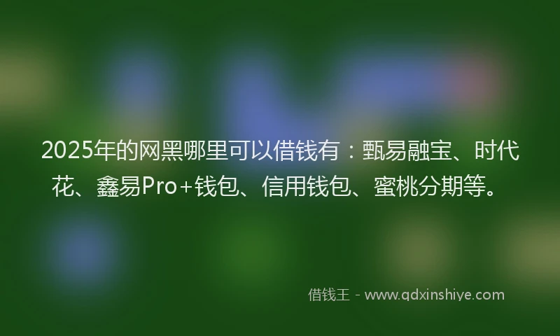 2025年的网黑哪里可以借钱有:甄易融宝、时代花、鑫易Pro+钱包、信用钱包、蜜桃分期等。