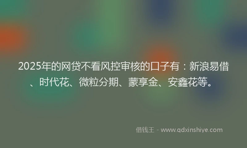2025年的网贷不看风控审核的口子有：新浪易借、时代花、微粒分期、蒙享金、安鑫花等。