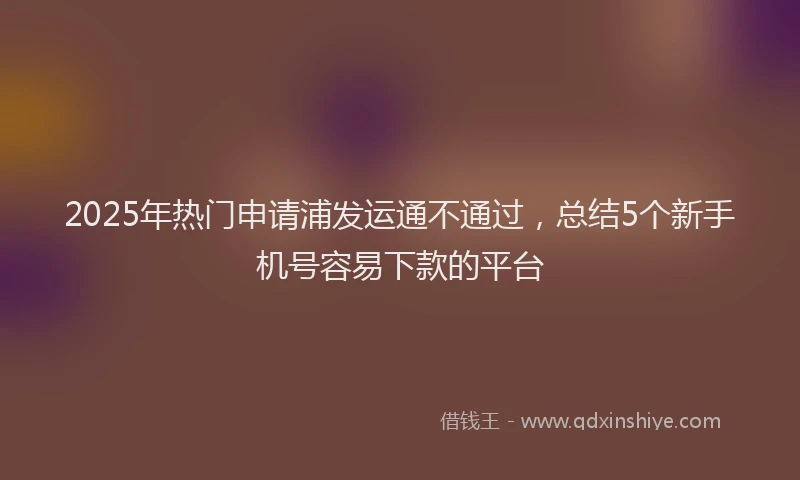 2025年热门申请浦发运通不通过，总结5个新手机号容易下款的平台