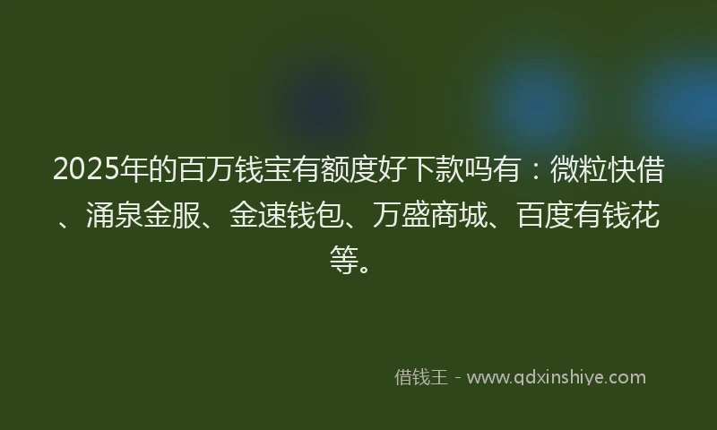 2025年的百万钱宝有额度好下款吗有：微粒快借、涌泉金服、金速钱包、万盛商城、百度有钱花等。