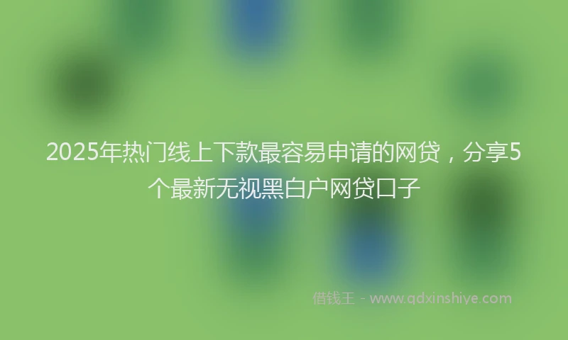 2025年热门线上下款最容易申请的网贷，分享5个最新无视黑白户网贷口子