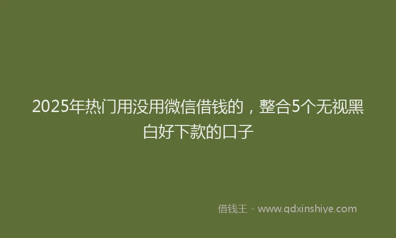 2025年热门用没用微信借钱的,整合5个无视黑白好下款的口子