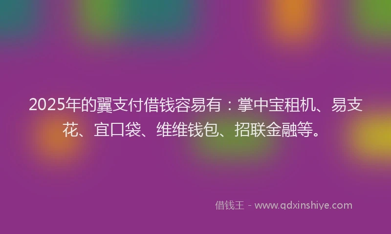 2025年的翼支付借钱容易有:掌中宝租机、易支花、宜口袋、维维钱包、招联金融等。