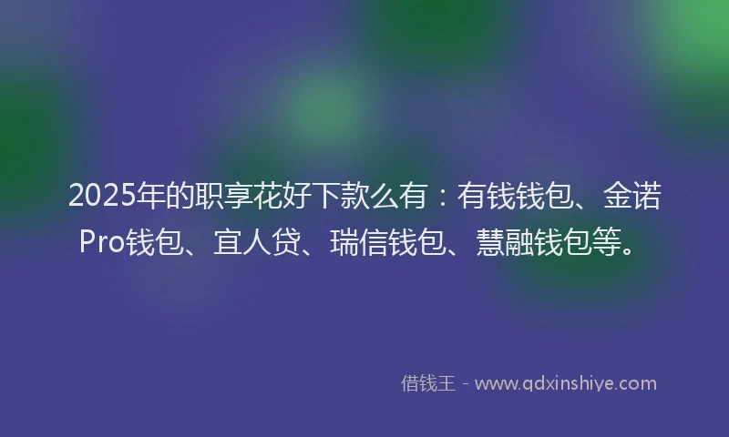 2025年的职享花好下款么有：有钱钱包、金诺Pro钱包、宜人贷、瑞信钱包、慧融钱包等。