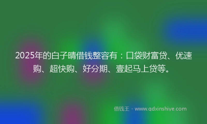2025年的白子晴借钱整容有：口袋财富贷、优速购、超快购、好分期、壹起马上贷等。
