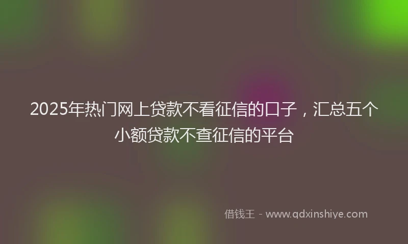 2025年热门网上贷款不看征信的口子，汇总五个小额贷款不查征信的平台