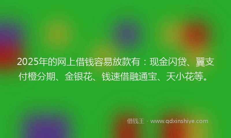2025年的网上借钱容易放款有:现金闪贷、翼支付橙分期、金银花、钱速借融通宝、天小花等。