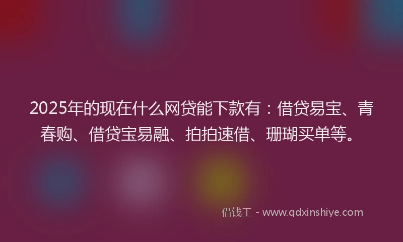 2025年的现在什么网贷能下款有:借贷易宝、青春购、借贷宝易融、拍拍速借、珊瑚买单等。