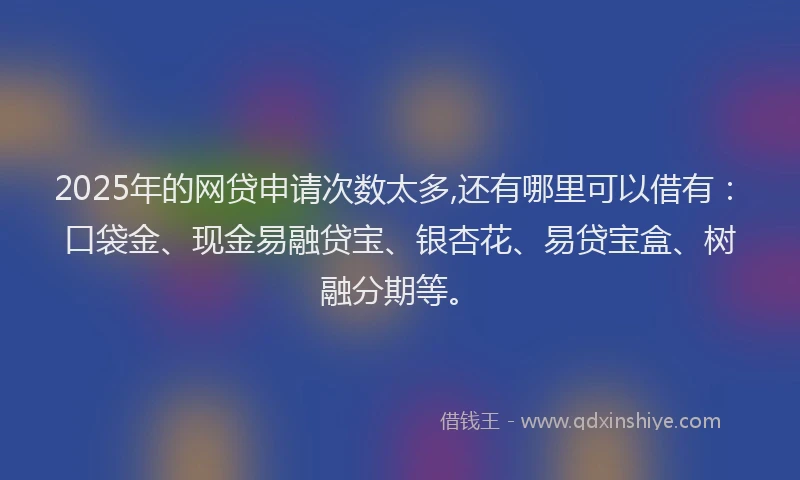 2025年的网贷申请次数太多,还有哪里可以借有：口袋金、现金易融贷宝、银杏花、易贷宝盒、树融分期等。