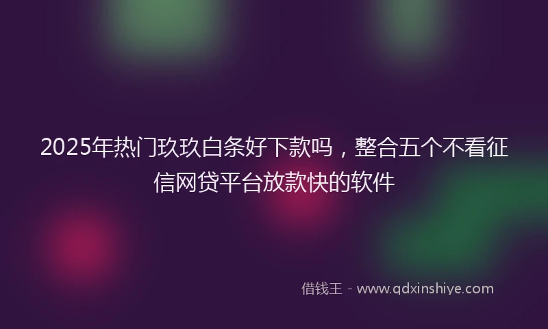 2025年热门玖玖白条好下款吗，整合五个不看征信网贷平台放款快的软件
