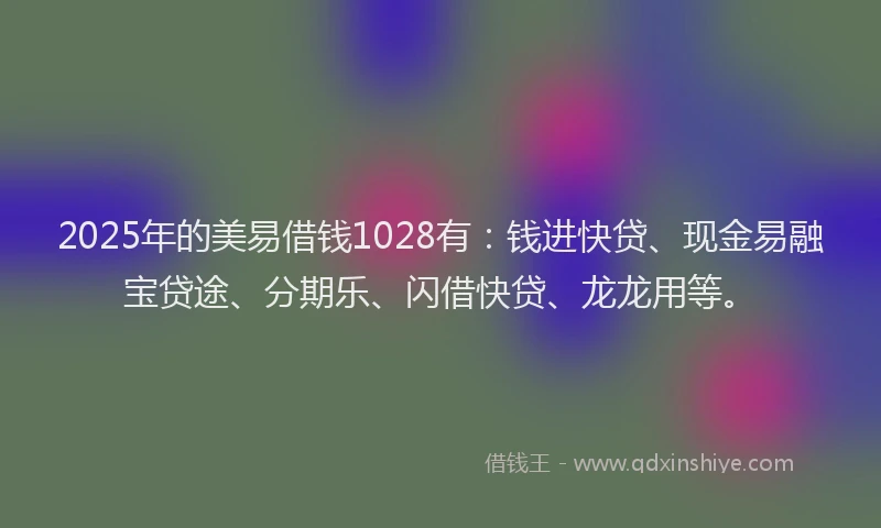 2025年的美易借钱1028有：钱进快贷、现金易融宝贷途、分期乐、闪借快贷、龙龙用等。