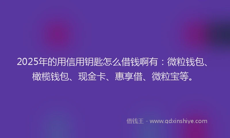 2025年的用信用钥匙怎么借钱啊有：微粒钱包、橄榄钱包、现金卡、惠享借、微粒宝等。