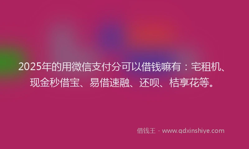 2025年的用微信支付分可以借钱嘛有：宅租机、现金秒借宝、易借速融、还呗、桔享花等。