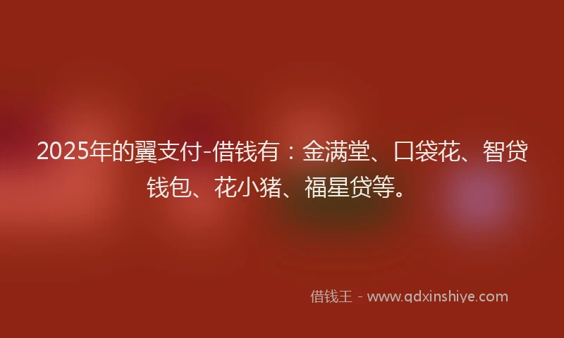 2025年的翼支付-借钱有:金满堂、口袋花、智贷钱包、花小猪、福星贷等。