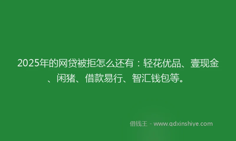 2025年的网贷被拒怎么还有:轻花优品、壹现金、闲猪、借款易行、智汇钱包等。