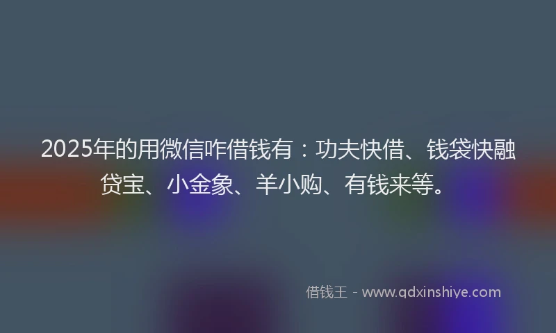 2025年的用微信咋借钱有：功夫快借、钱袋快融贷宝、小金象、羊小购、有钱来等。