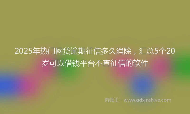 2025年热门网贷逾期征信多久消除，汇总5个20岁可以借钱平台不查征信的软件