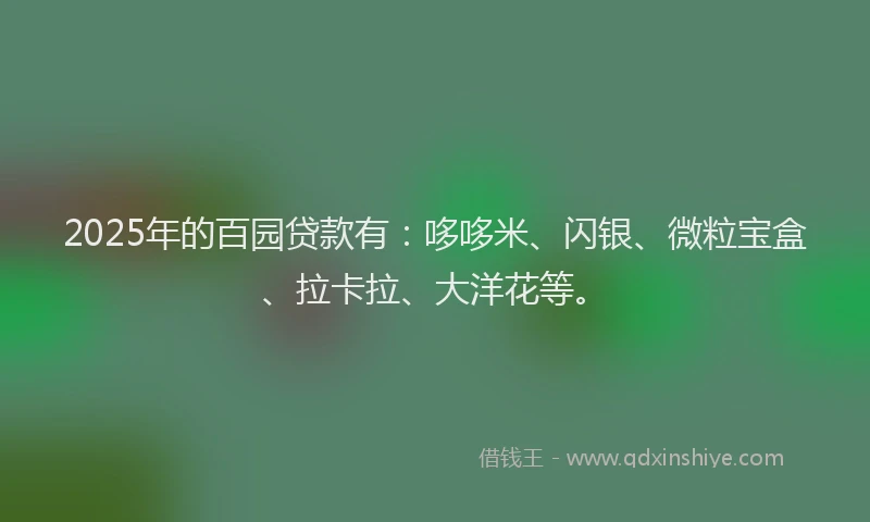 2025年的百园贷款有：哆哆米、闪银、微粒宝盒、拉卡拉、大洋花等。