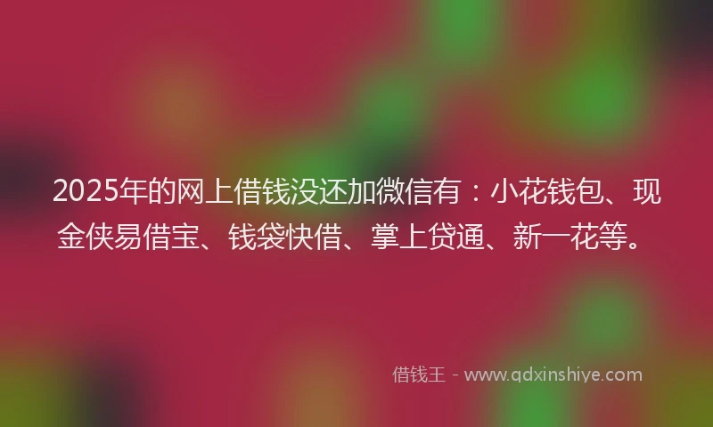 2025年的网上借钱没还加微信有：小花钱包、现金侠易借宝、钱袋快借、掌上贷通、新一花等。