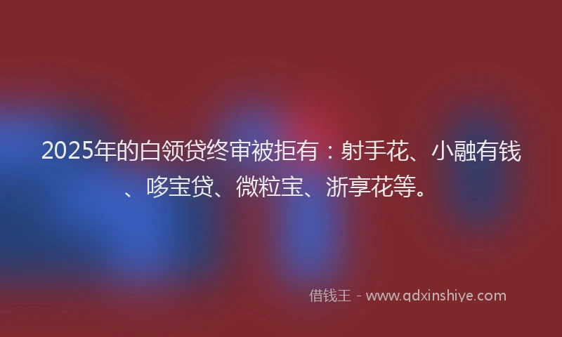 2025年的白领贷终审被拒有:射手花、小融有钱、哆宝贷、微粒宝、浙享花等。