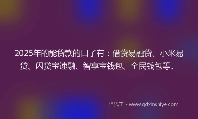 2025年的能贷款的口子有：借贷易融贷、小米易贷、闪贷宝速融、智享宝钱包、全民钱包等。