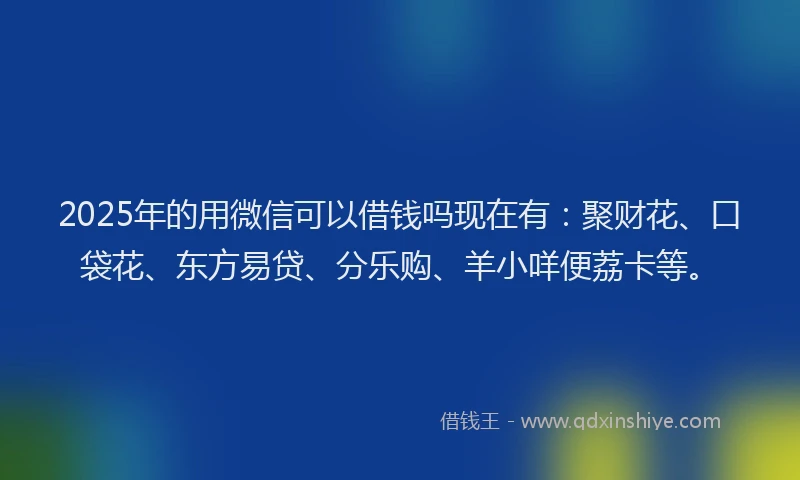 2025年的用微信可以借钱吗现在有:聚财花、口袋花、东方易贷、分乐购、羊小咩便荔卡等。