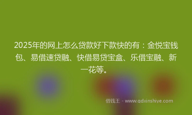 2025年的网上怎么贷款好下款快的有：金悦宝钱包、易借速贷融、快借易贷宝盒、乐借宝融、新一花等。