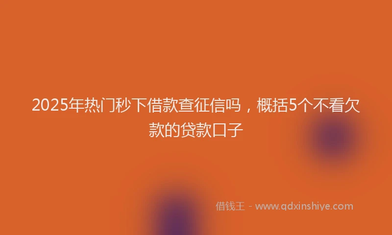 2025年热门秒下借款查征信吗，概括5个不看欠款的贷款口子