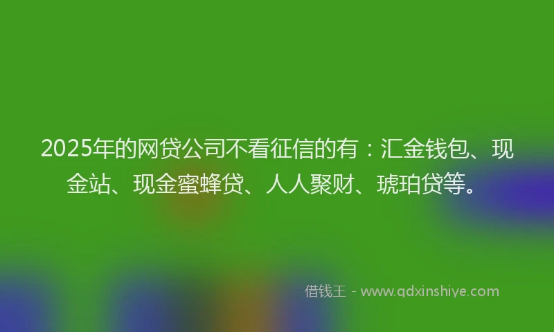 2025年的网贷公司不看征信的有：汇金钱包、现金站、现金蜜蜂贷、人人聚财、琥珀贷等。