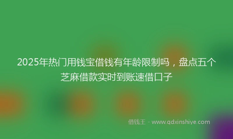2025年热门用钱宝借钱有年龄限制吗，盘点五个芝麻借款实时到账速借口子