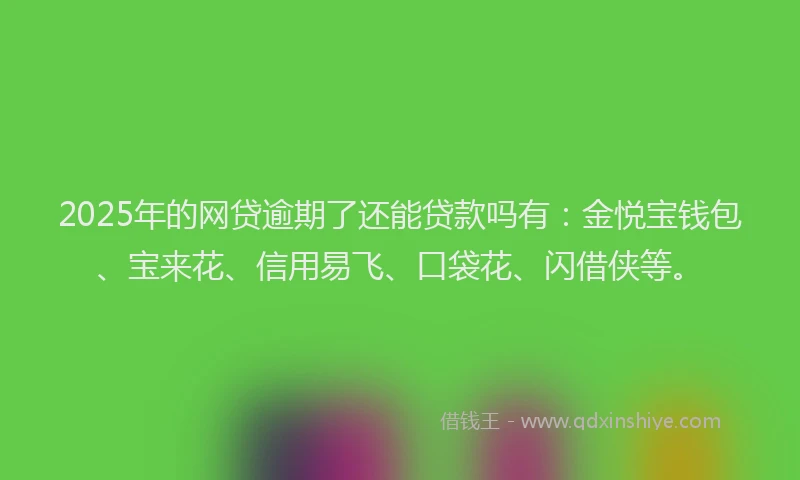 2025年的网贷逾期了还能贷款吗有：金悦宝钱包、宝来花、信用易飞、口袋花、闪借侠等。