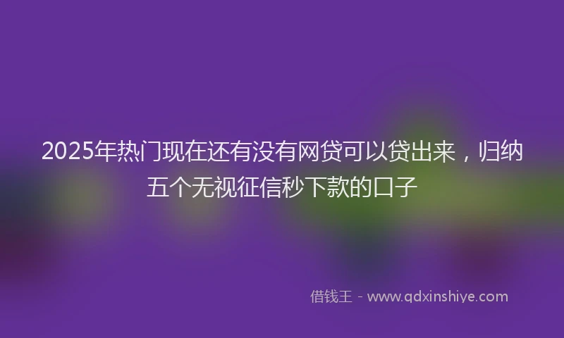 2025年热门现在还有没有网贷可以贷出来，归纳五个无视征信秒下款的口子