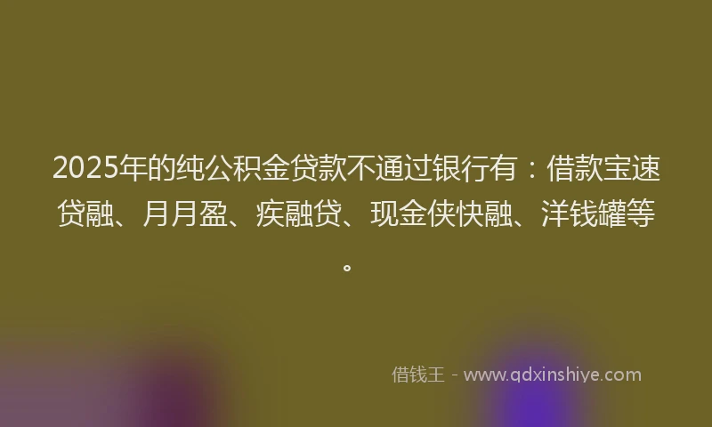 2025年的纯公积金贷款不通过银行有：借款宝速贷融、月月盈、疾融贷、现金侠快融、洋钱罐等。
