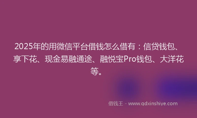 2025年的用微信平台借钱怎么借有：信贷钱包、享下花、现金易融通途、融悦宝Pro钱包、大洋花等。