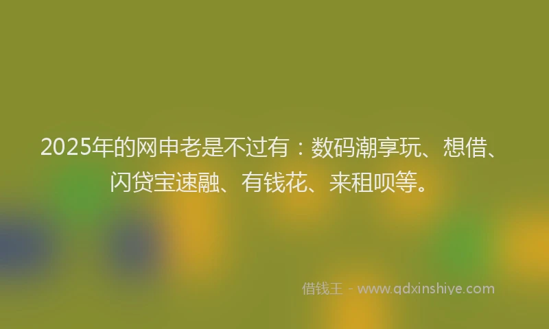 2025年的网申老是不过有:数码潮享玩、想借、闪贷宝速融、有钱花、来租呗等。