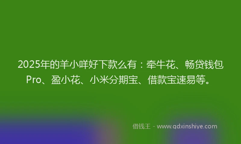 2025年的羊小咩好下款么有：牵牛花、畅贷钱包Pro、盈小花、小米分期宝、借款宝速易等。