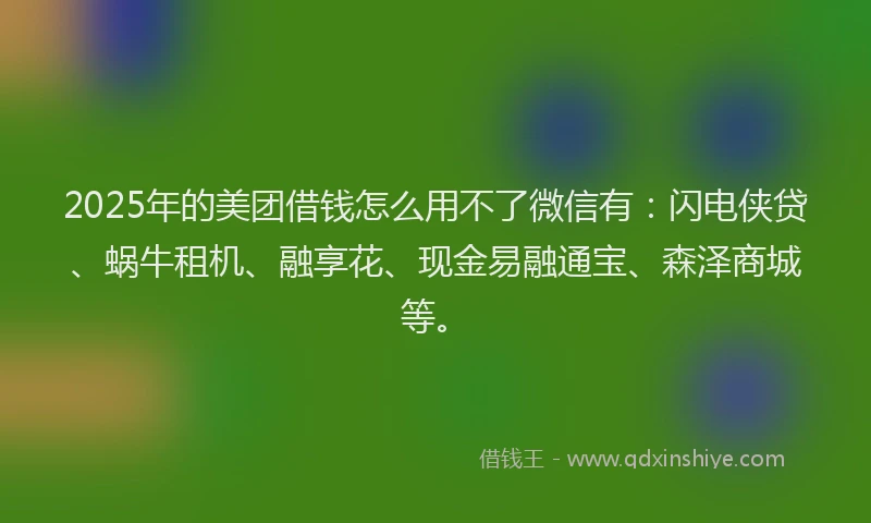 2025年的美团借钱怎么用不了微信有:闪电侠贷、蜗牛租机、融享花、现金易融通宝、森泽商城等。