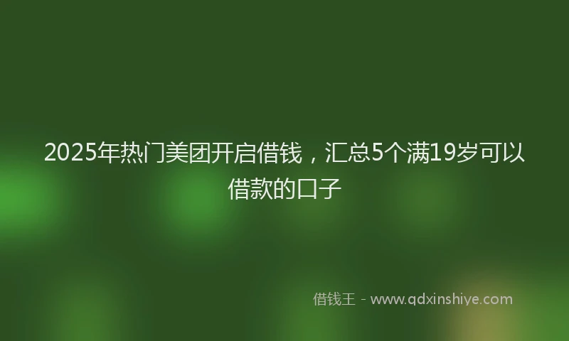 2025年热门美团开启借钱，汇总5个满19岁可以借款的口子