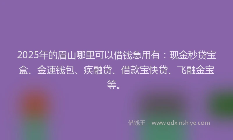 2025年的眉山哪里可以借钱急用有：现金秒贷宝盒、金速钱包、疾融贷、借款宝快贷、飞融金宝等。
