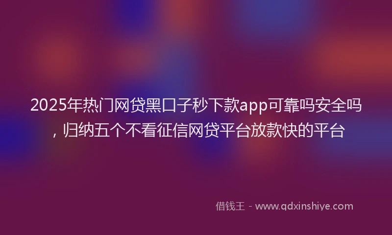 2025年热门网贷黑口子秒下款app可靠吗安全吗，归纳五个不看征信网贷平台放款快的平台