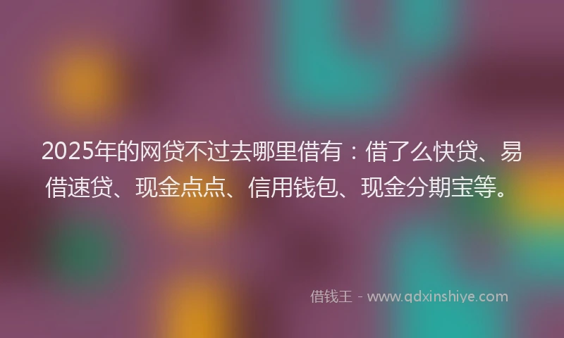 2025年的网贷不过去哪里借有：借了么快贷、易借速贷、现金点点、信用钱包、现金分期宝等。