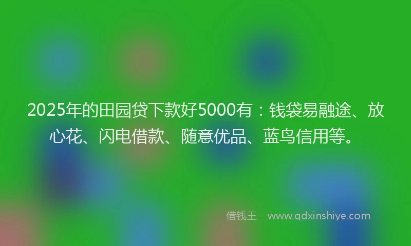 2025年的田园贷下款好5000有：钱袋易融途、放心花、闪电借款、随意优品、蓝鸟信用等。