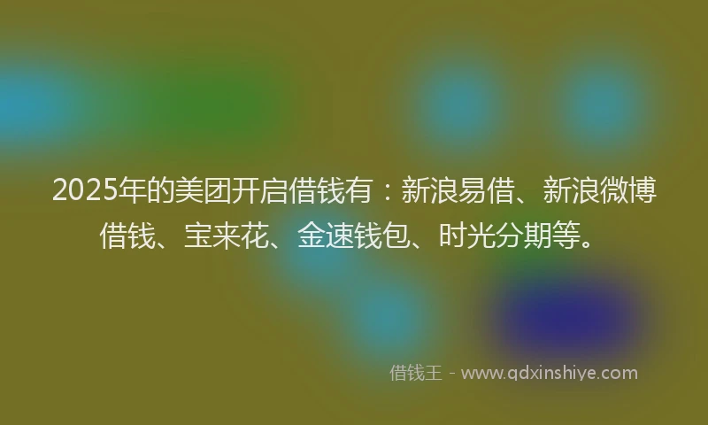 2025年的美团开启借钱有：新浪易借、新浪微博借钱、宝来花、金速钱包、时光分期等。