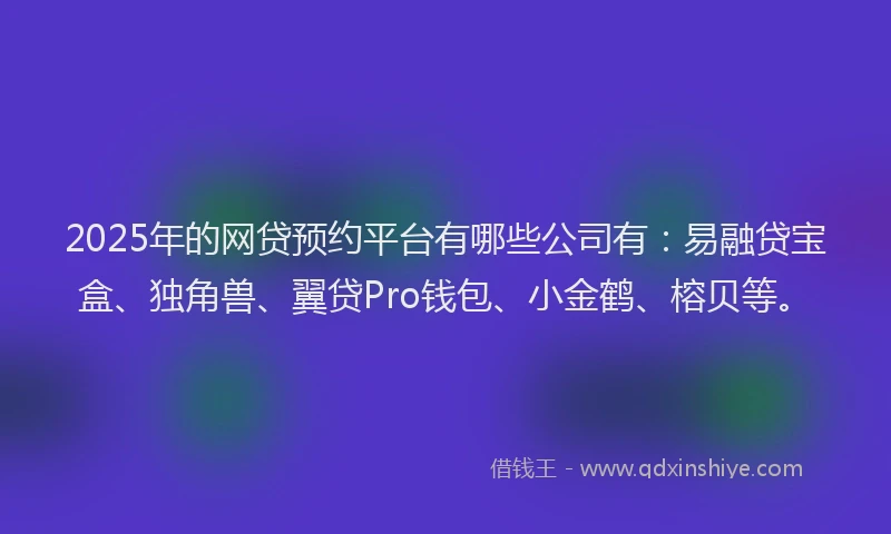 2025年的网贷预约平台有哪些公司有：易融贷宝盒、独角兽、翼贷Pro钱包、小金鹤、榕贝等。