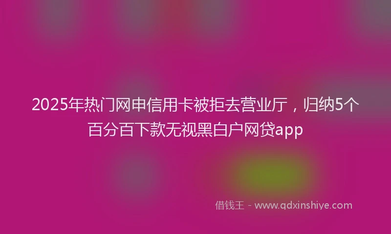 2025年热门网申信用卡被拒去营业厅,归纳5个百分百下款无视黑白户网贷app