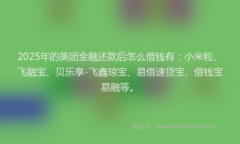 2025年的美团金融还款后怎么借钱有：小米粒、飞融宝、贝乐享-飞鑫琼宝、易借速贷宝、借钱宝易融等。