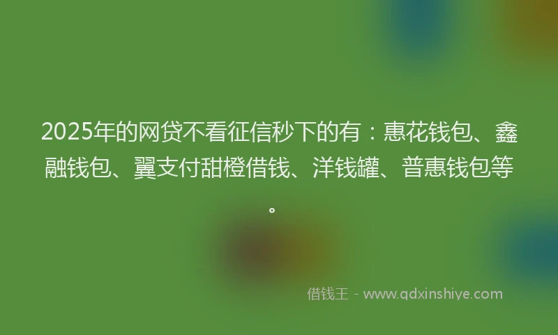 2025年的网贷不看征信秒下的有：惠花钱包、鑫融钱包、翼支付甜橙借钱、洋钱罐、普惠钱包等。