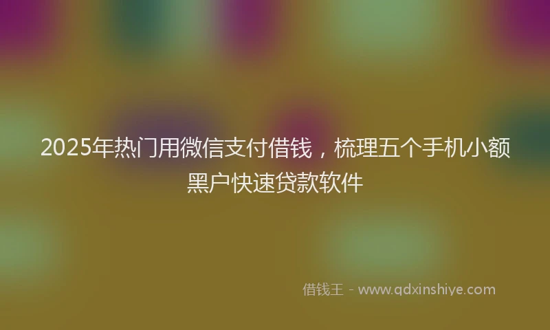 2025年热门用微信支付借钱，梳理五个手机小额黑户快速贷款软件