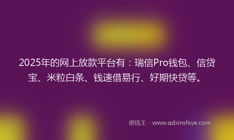 2025年的网上放款平台有：瑞信Pro钱包、信贷宝、米粒白条、钱速借易行、好期快贷等。