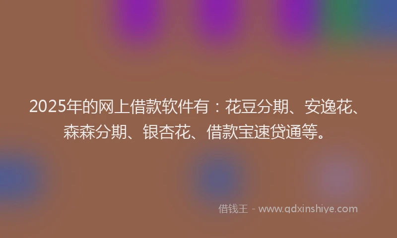 2025年的网上借款软件有：花豆分期、安逸花、森森分期、银杏花、借款宝速贷通等。
